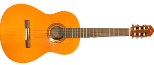 Nylon string guitar 2